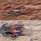 Image for article titled The best scientific smackdown about evolution you'll read this week